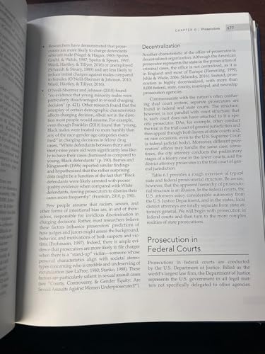 David Neubauer - America's Courts and the Criminal Justice System image 2