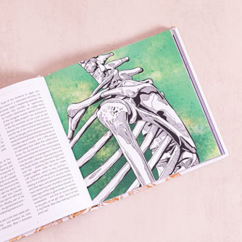 Alice Roberts - Anatomical Oddities - Hardback image 4
