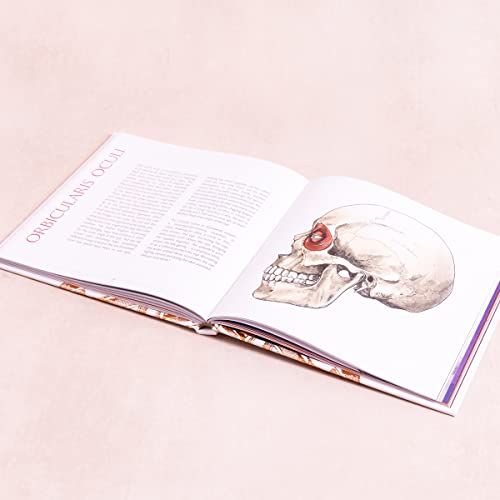 Alice Roberts - Anatomical Oddities - Hardback image 6