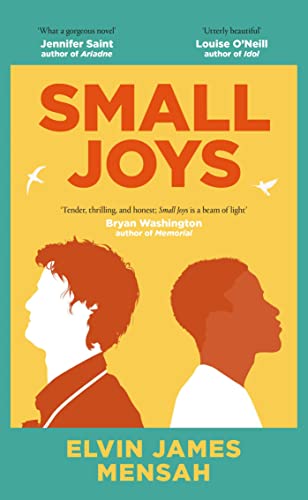 Elvin James Mensah - Small Joys : The most moving and uplifting debut image 1