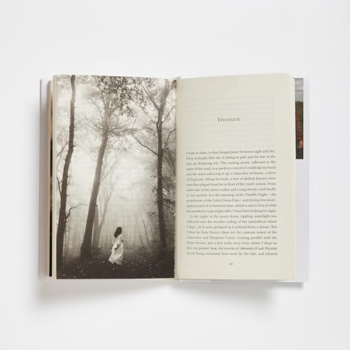 Laura Pashby - Chasing Fog : Finding Enchantment in a Cloud - Hardback image 4
