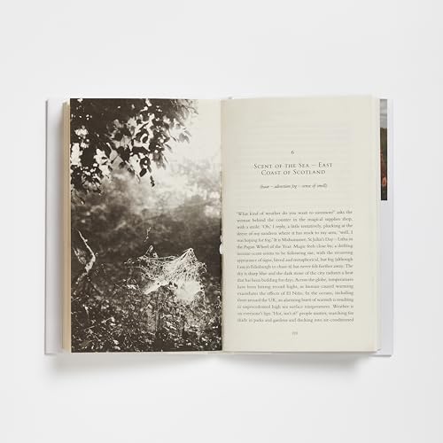 Laura Pashby - Chasing Fog : Finding Enchantment in a Cloud - Hardback image 5