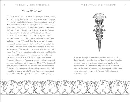 EA Wallis Budge - Egyptian Book of the Dead - Hardback image 2