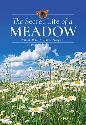 David Morgan - Secret Life of a Meadow - Hardback image 1