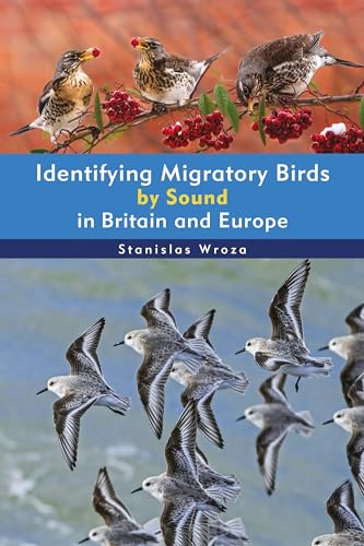 Stanislas Wroza - Identifying Migratory Birds by Sound in Britain and image 1