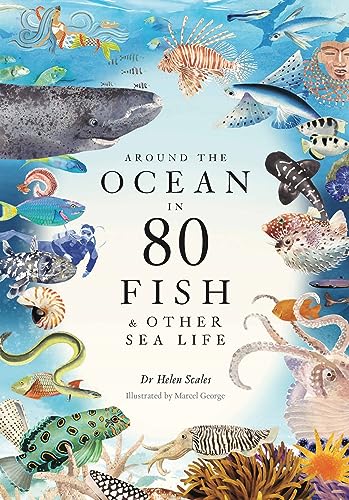 Helen Scales - Around the Ocean in 80 Fish and other Sea Life - Hardba image 1