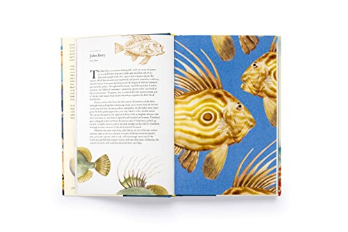 Helen Scales - Around the Ocean in 80 Fish and other Sea Life - Hardba image 3