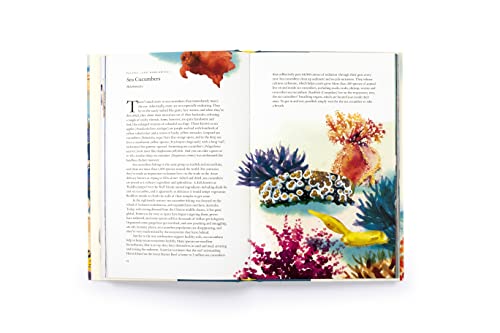 Helen Scales - Around the Ocean in 80 Fish and other Sea Life - Hardba image 5
