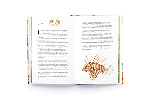 Helen Scales - Around the Ocean in 80 Fish and other Sea Life - Hardba image 6