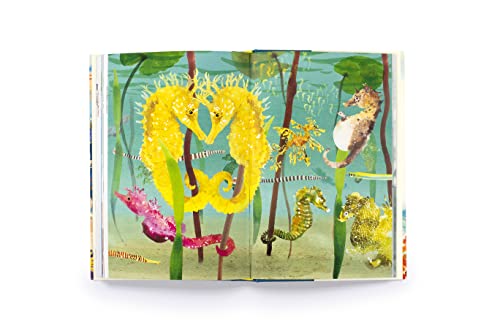 Helen Scales - Around the Ocean in 80 Fish and other Sea Life - Hardba image 7