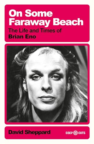David Sheppard - On Some Faraway Beach : The Life and Times of Brian E image 1
