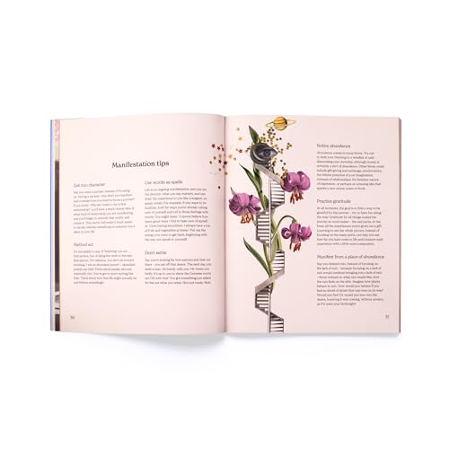 CanDace Johnson - Make a Vision Board : A Manifesting Collage Book - P image 3