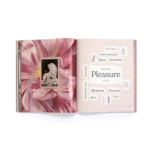 CanDace Johnson - Make a Vision Board : A Manifesting Collage Book - P image 5