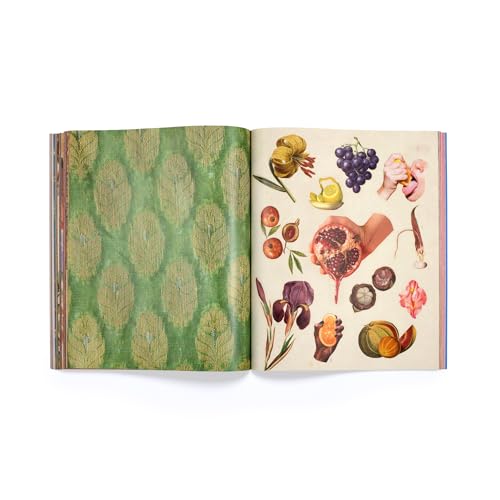 CanDace Johnson - Make a Vision Board : A Manifesting Collage Book - P image 7