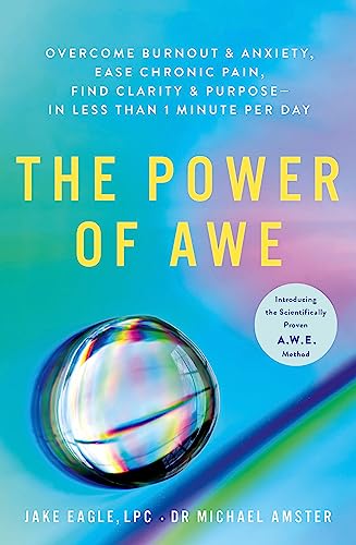 Dr Michael Amster - Power of Awe : Overcome Burnout & Anxiety, Ease Ch image 1