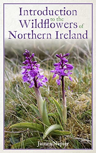 James Napier - Introduction to the Wildflowers of Northern Ireland - P image 1