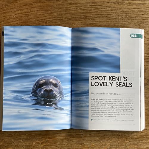 Tom Idle - 237 Ideas For Stuff To Do And Places To Go In Kent With Kid image 6