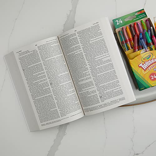 Thomas Nelson - ICB, Gift and   Award Bible, Softcover, Gray : Interna image 5