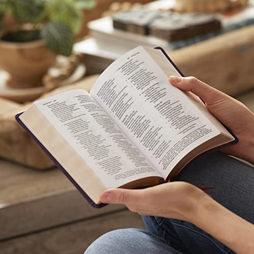 Thomas Nelson - NKJV Compact Paragraph-Style Bible w/ 43,000 Cross Ref image 4