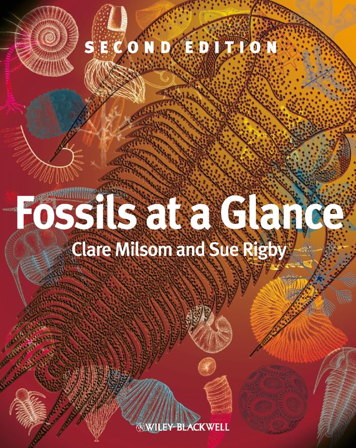 Sue Rigby - Fossils at a Glance - Paperback image 1
