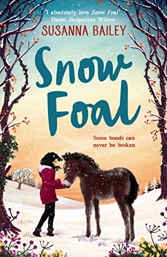 Susanna Bailey - Snow Foal - the perfect Christmas book for children - image 1