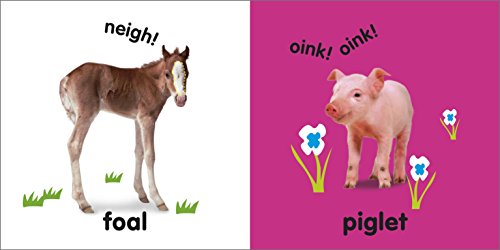 DK - Touch and Feel Baby Animals - Hardback image 2