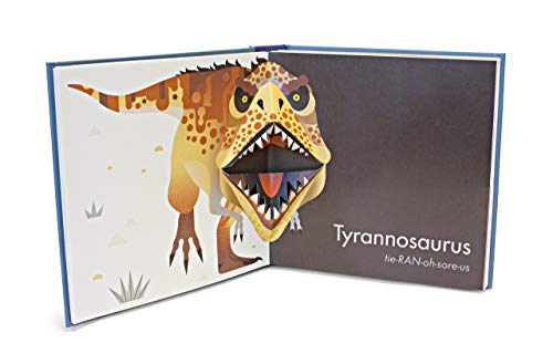 Hardback image 2