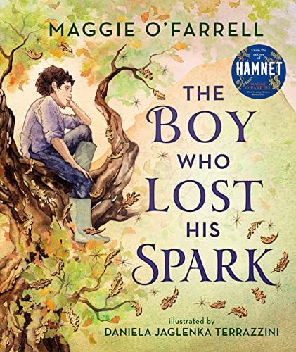 Maggie O'Farrell - Boy Who Lost His Spark - Hardback image 1