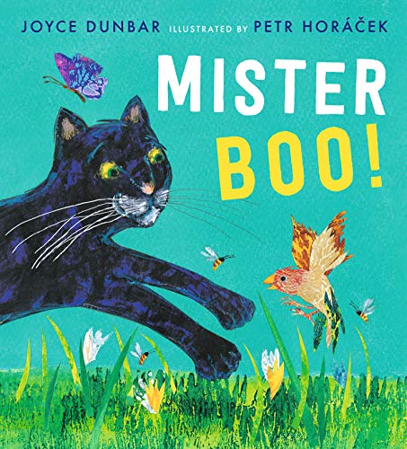 Joyce Dunbar - Mister Boo! - Hardback image 1