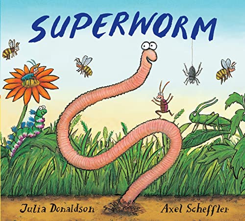 Julia Donaldson - Superworm Gift Edition Board Book - Hardback image 1