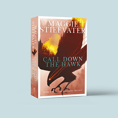 Maggie Stiefvater - Call Down the Hawk - Paperback image 2