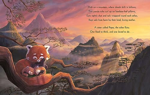 Rachel Bright - Pandas Who Promised - Paperback image 3