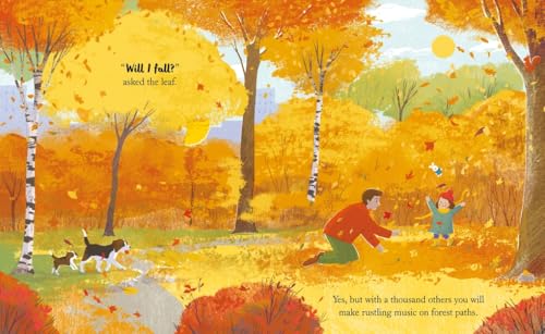 Helen Mortimer - When a Star Falls - Hardback image 4
