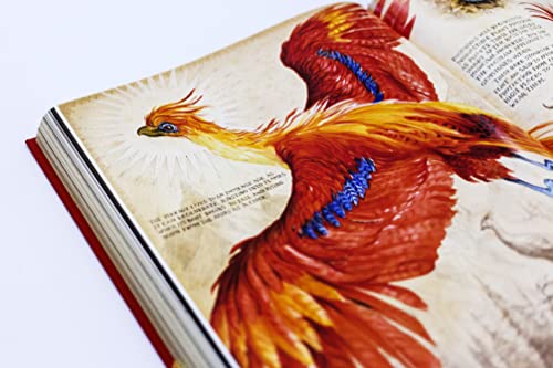 J.K. Rowling - Harry Potter and the Chamber of Secrets : Deluxe Illust image 6
