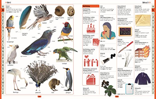 DK - Children's Illustrated Dictionary - Hardback image 2