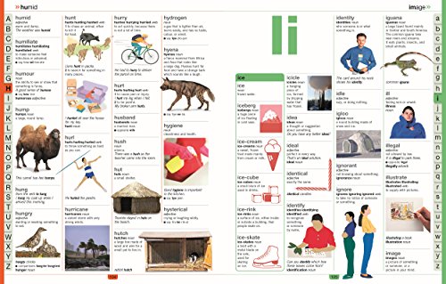 DK - Children's Illustrated Dictionary - Hardback image 3
