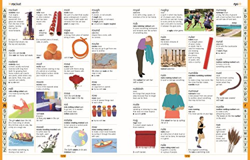 DK - Children's Illustrated Dictionary - Hardback image 4