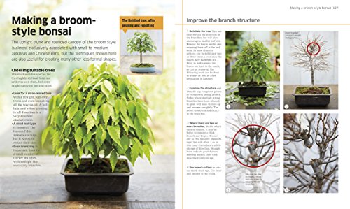 DK - Bonsai - Hardback image 2