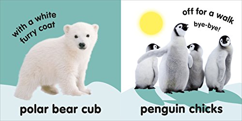 DK - Baby Touch and Feel Fluffy Animals - Hardback image 3
