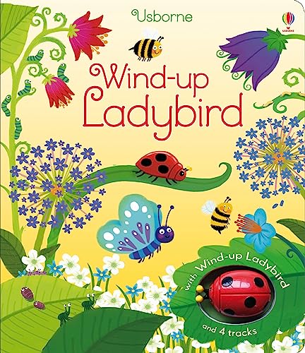 Fiona Watt - Wind-Up Ladybird - Hardback image 1