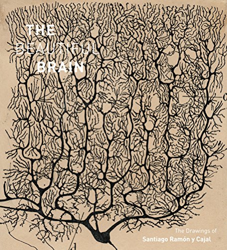 Eric Newman - Beautiful Brain : The Drawings of Santiago Ramon y Cajal image 1