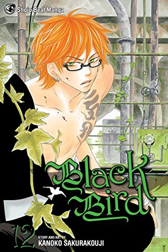 Kanoko Sakurakouji - Black Bird, Vol. 12 - Paperback image 1