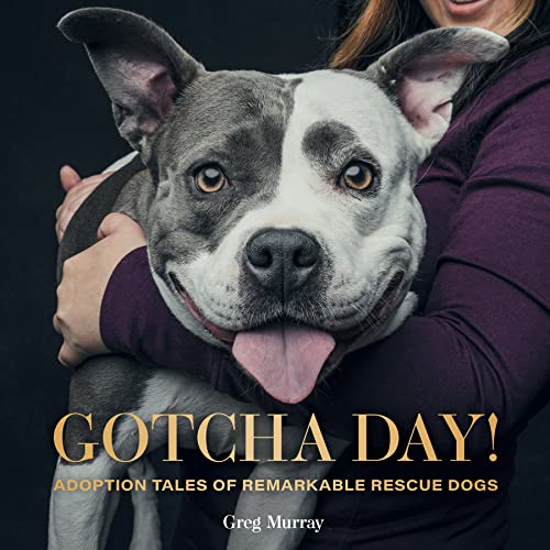 Greg Murray - Gotcha Day : Adoption Tales of Remarkable Rescue Dogs - image 1