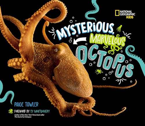 Sy Montgomery - Mysterious, Marvelous Octopus! - Hardback image 1