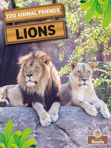 Amy Culliford - Lions - Paperback