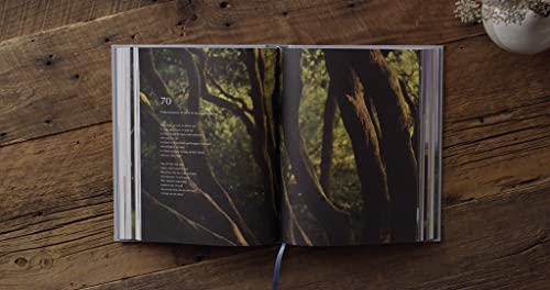 ESV Psalms, Photography Edition - Hardback image 5