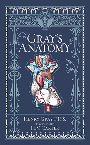 H. Gray - Gray's Anatomy (Barnes & Noble Collectible Classics: Omn image 1