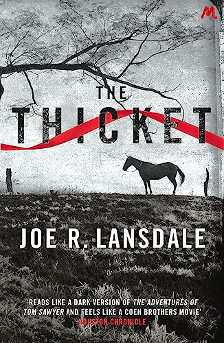 Joe R. Lansdale - Thicket - Paperback image 1