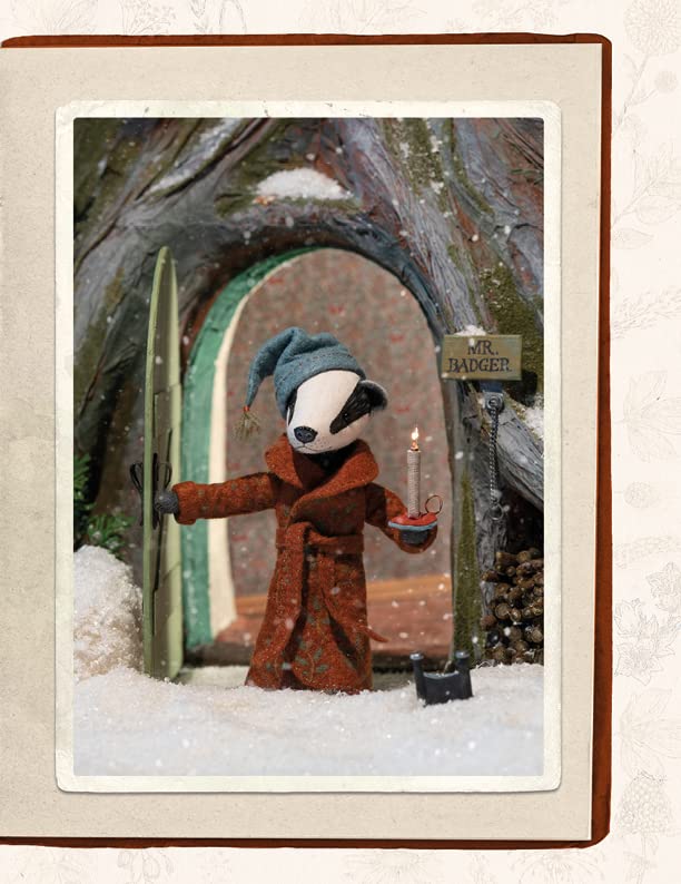 Cynthia Treen - Wind in the Willows Felt Friends : Beginner-friendly s image 4