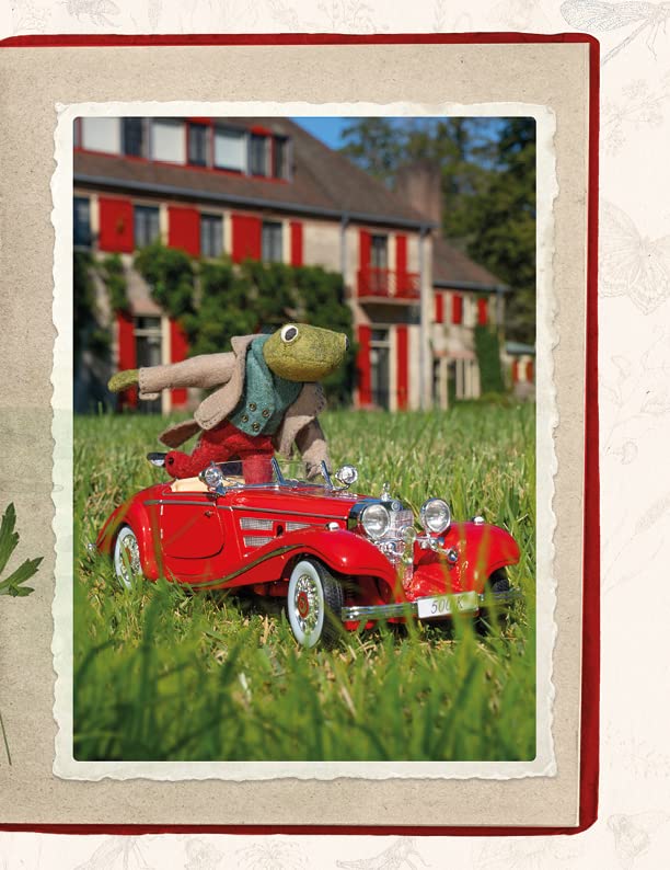 Cynthia Treen - Wind in the Willows Felt Friends : Beginner-friendly s image 5